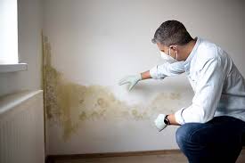 Why You Should Choose Our Mold Remediation Services in Hialeah, FL